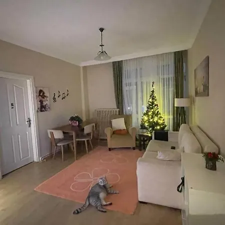 Cosy And Fully Furnished 2 Bedroom * איסטמבול